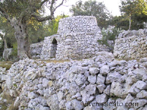 Pajara au milieu d'un typique paysage salentino