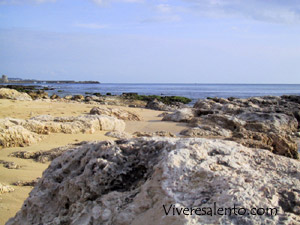 Low rocky coast  