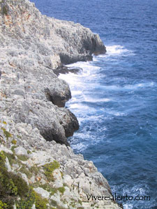 Rocky coast of the Adriatic shore  