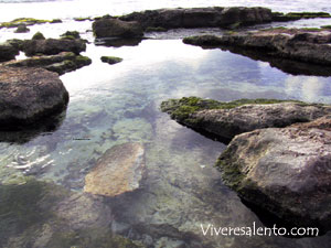 Source d'eau douce