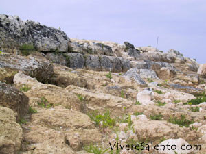 Murailles mégalithiques  
